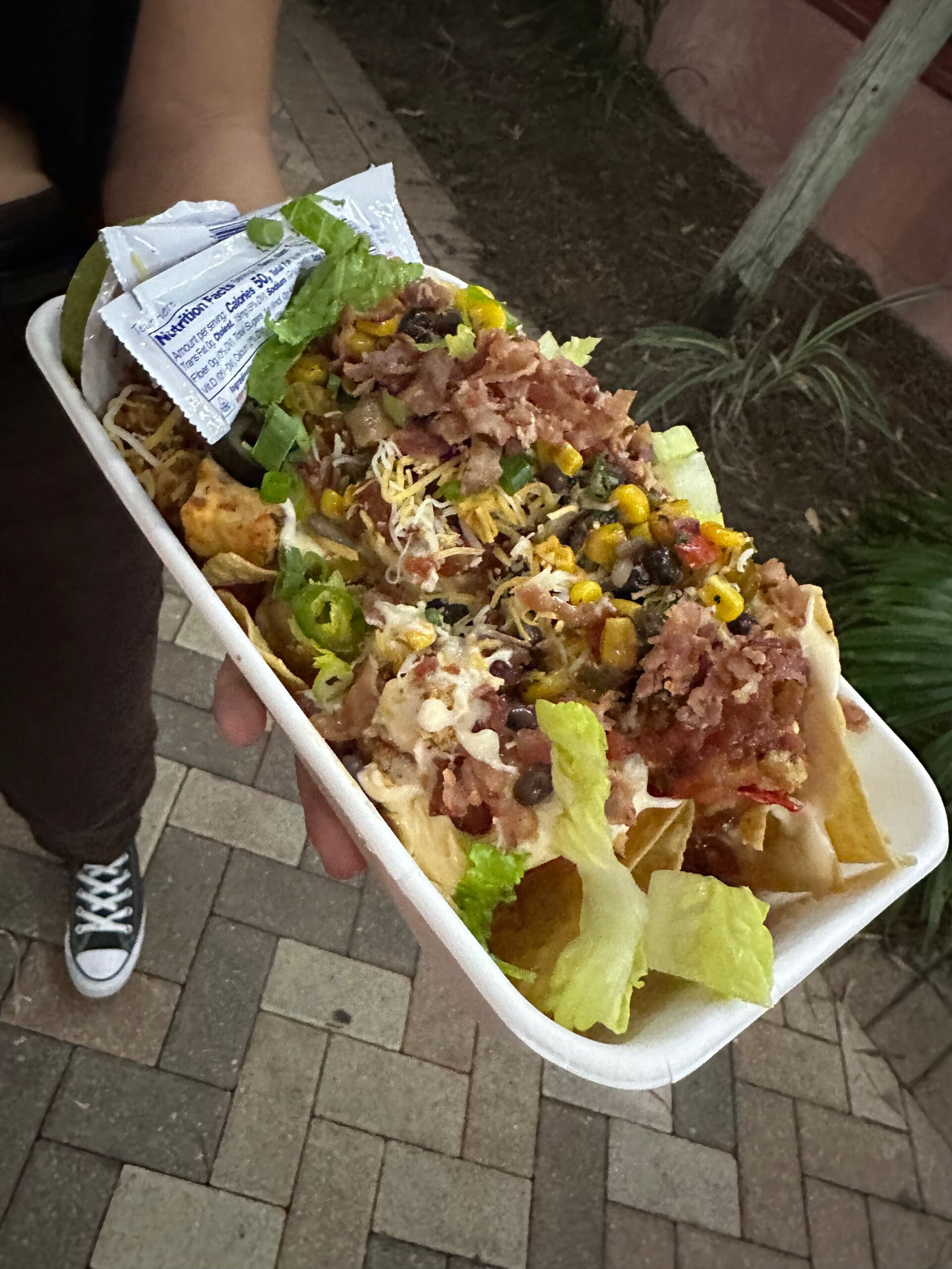 Zoo Nachos Top Photo